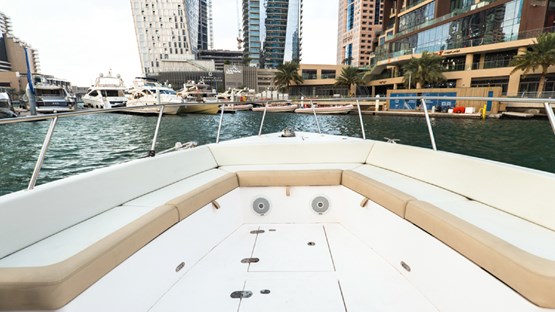 Thunder Silver craft 36ft | AED595/Hour